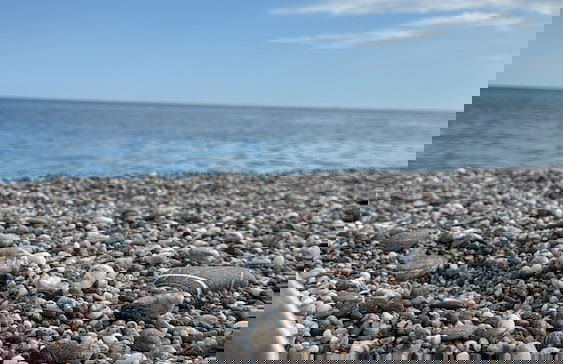 Aurora View Resort - Foto 46