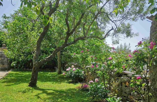 Apartment Gina - Foto 37