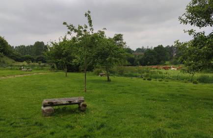 Right between two coast lines - Foto 6