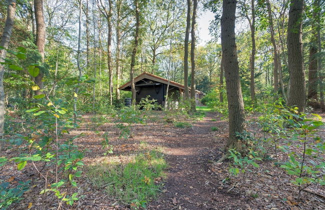 Holiday Home in Zorgvlied Near Drents - Foto 27