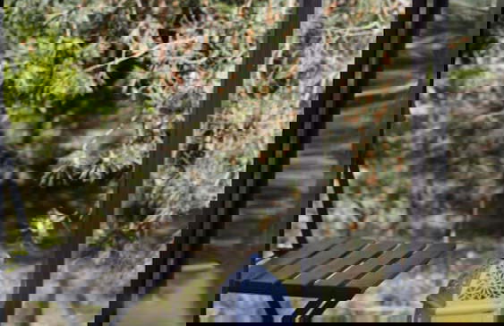 Pelikan Resort - Photo 16