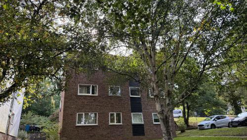 Short Stay Room in Flat share Cardiff - Foto 2, Garden