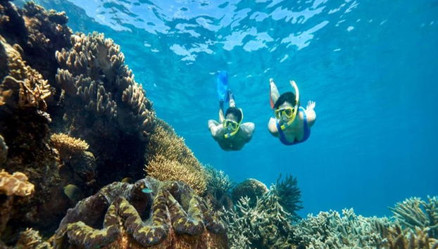 Quicksilver Outer Barrier Reef Cruise de Port Douglas Marina - Foto 3