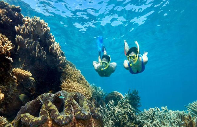 Quicksilver Outer Barrier Reef Cruise de Port Douglas Marina - Foto 3
