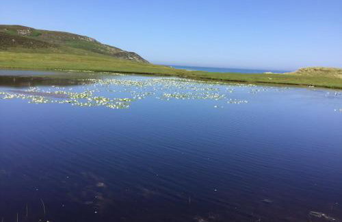 5a Plantation Road - Foto 26