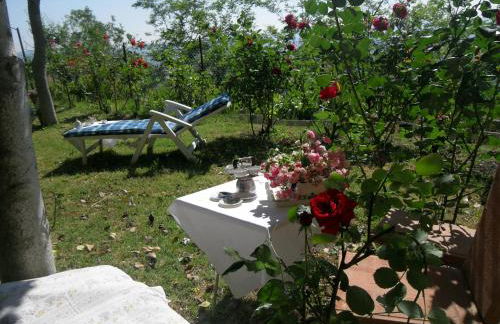 House with stunning views - Foto 29