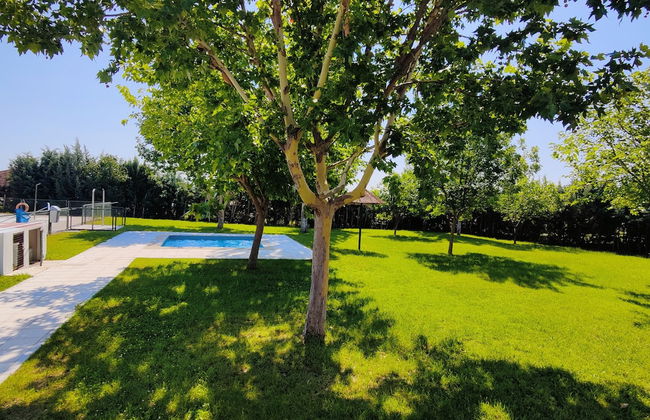 Hamlet's Friends - Foto 46