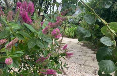 Maison spacieuse 120 m plage de la grève blanche - Foto 37