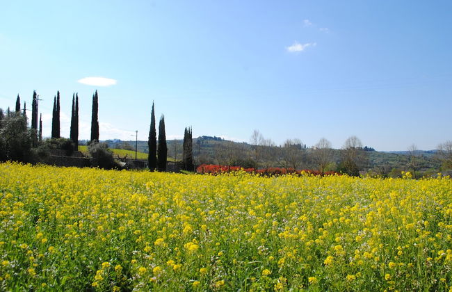 Fattoria di Malavolta - Foto 41