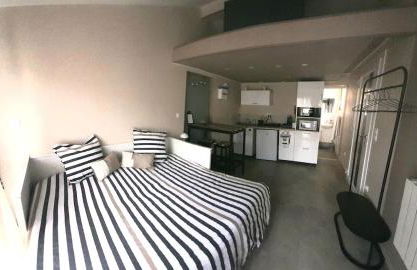 Superbe comfortable studio CHU et Université - Foto 1