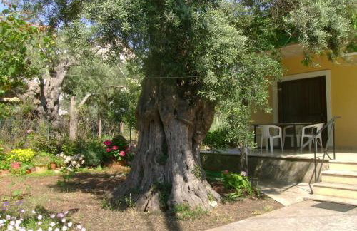 Lefkas house with garden - Foto 20
