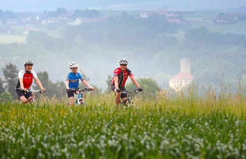 Ferienhaus Hornauer - Foto 37