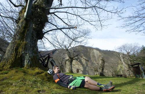 Hotel Residence Margherita - Foto 61