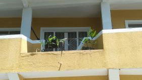 Apartamento Vista Panoramica - Foto 3