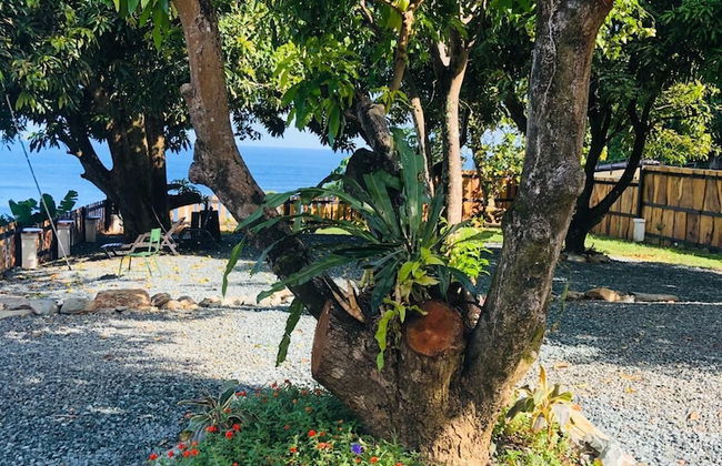 Castara Inn - Photo 57