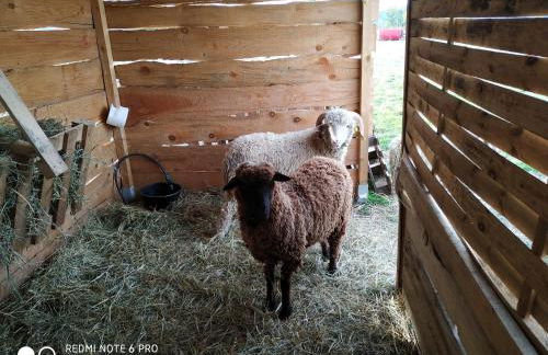 Gîte à la ferme - Foto 10