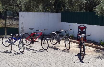 Casa Das Oliveiras - Foto 15