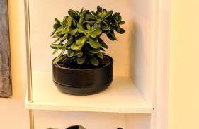 Le Pressoir de la Piogerie - Photo 12