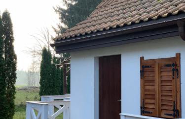 Uroczy dom nad jeziorem Śniardwy tuż obok plaży - Foto 52