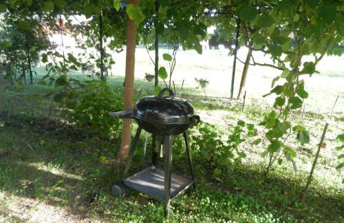 Monica di Sorbo - Foto 45