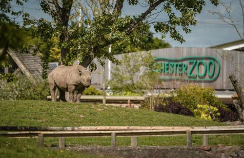 'The Cabin'. A cosy private & secure holiday home. - Foto 53