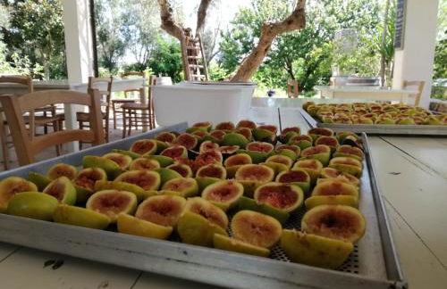 L'Aia di San Giorgio - Foto 96