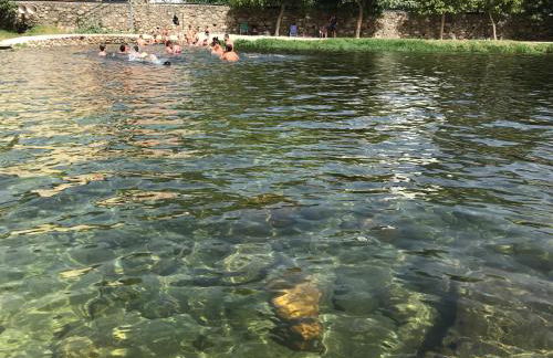 El Cerrillo - Foto 30