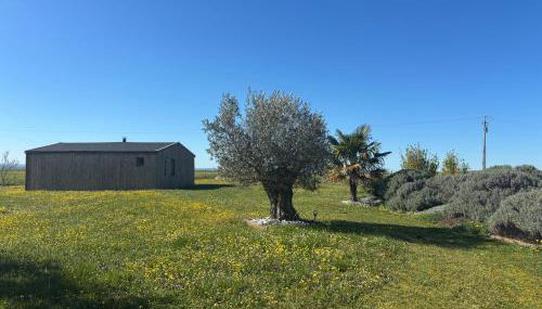CHALET EN BOIS PRIVATIF ST POURCAIN SUR SIOULE - Foto 3