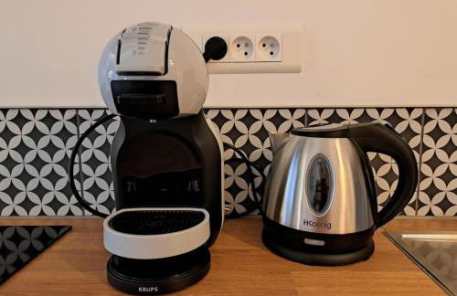 Beautiful Appartment with private garden in Lille - 100m from metro station - Foto 18