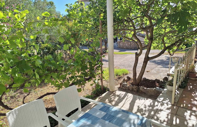 Apartment Renchy Seline - Foto 1