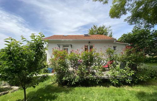 The Little Oak - tiny house with bed on mezzanine & terrace - from 1 to 4 p Disney, Paris & CDG - Foto 8