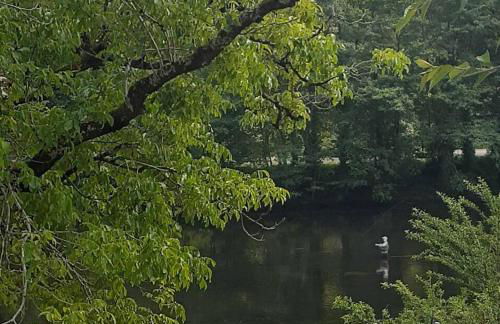 Vue du Pont - Photo 39