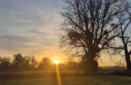 La Ripaudière - Foto 26