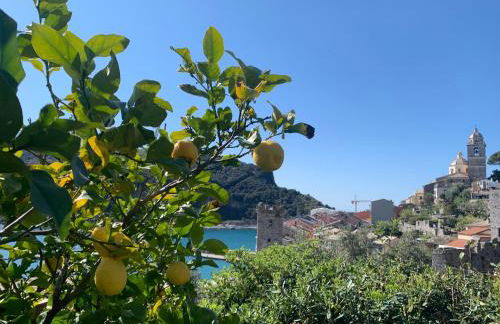 Villa Paolo Lemon Tree - Foto 68