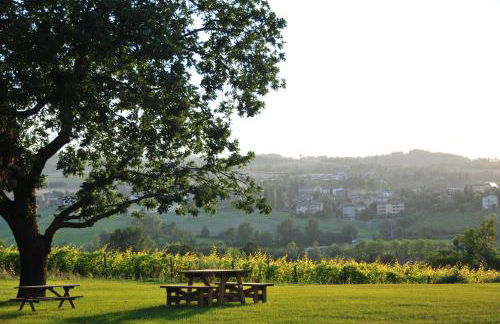 Bosco dei Poveri - Photo 8