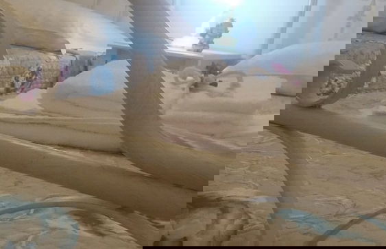 Terracielo Guest House - Foto 2