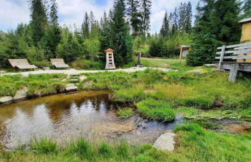 Appartement 13 im Haus Dreisessel - Foto 30