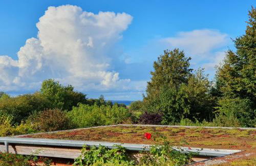 Ferienwohnung Hafenblick Ferienhof Geltinger Bucht - Foto 35