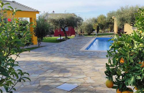 Socrates Organic Village - Wild Olive - Photo 52