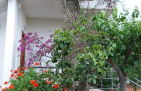 Theodore Apartments - Foto 19