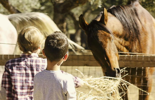 Casale Torre San Magno - Foto 49