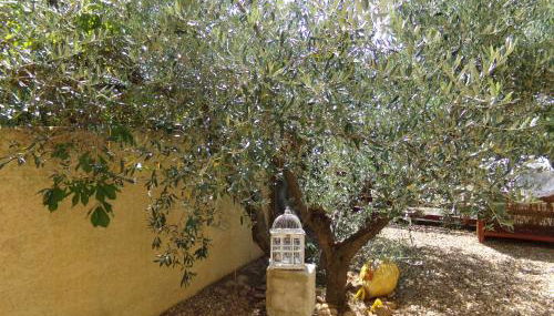 Le Mas du Ruisseau - Foto 5, Garden view