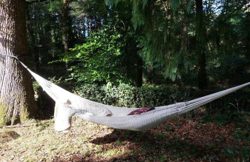 3 Apts Moulin SAGE - Foto 13