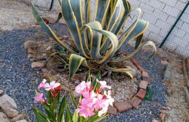 Villa Rosa Amparo - Foto 38