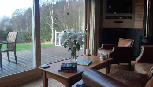 Fern Lodge - Luxury Lodge with steamroom in Perthshire - Foto 5, Garden view