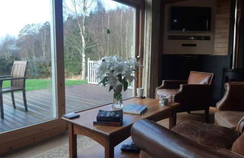 Fern Lodge - Luxury Lodge with steamroom in Perthshire - Photo 5