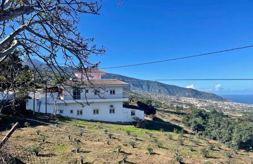 Finca Ecologica Ten Days - Foto 4