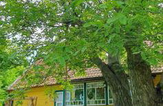 Żuławska Chata - Foto 43