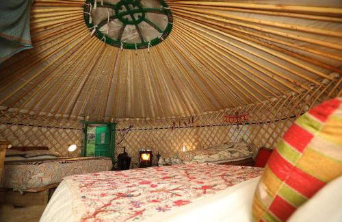 Hapus Yurt - Two Beautiful Yurts and Barn Cottage - Foto 87