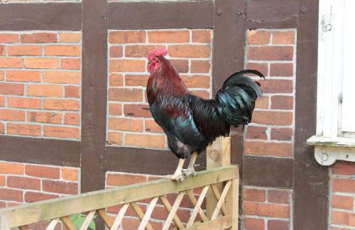 Gästehaus Tobringen 20 - Foto 25